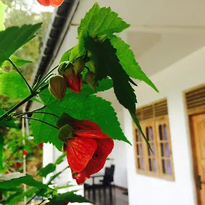  Gasthof View Guest Sri Lanka