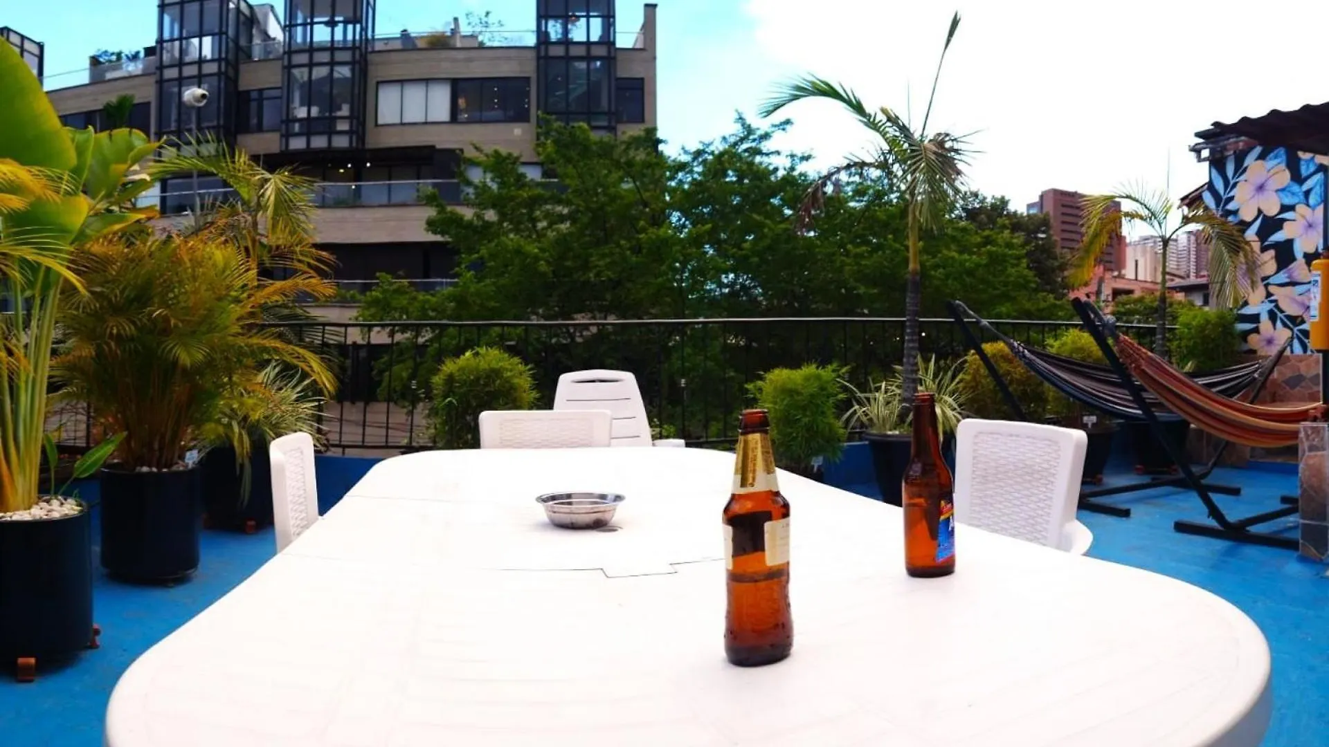 The Sugar Cane Hostel Medellin Colombia