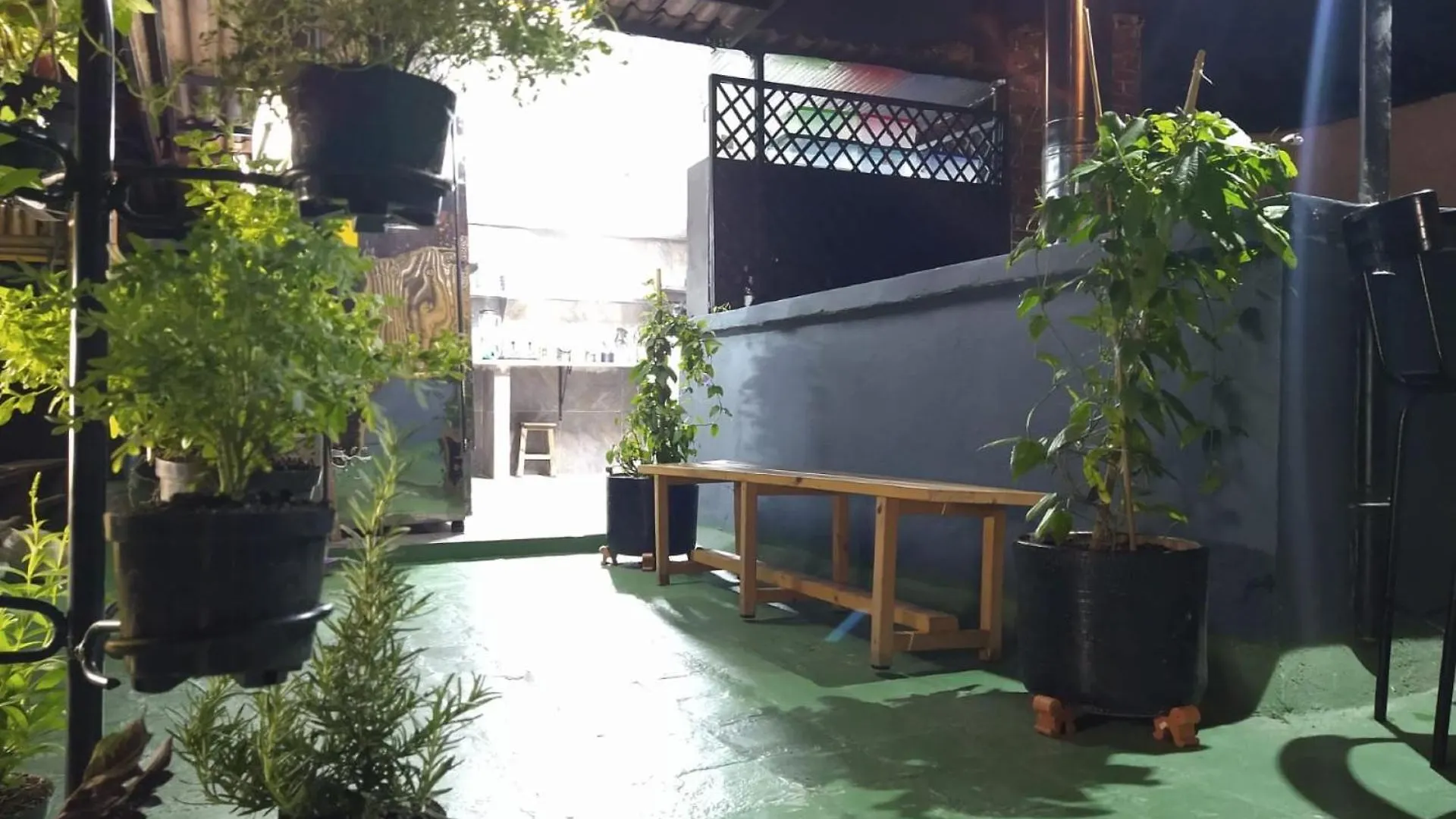 The Sugar Cane Hostel Medellin Colombia