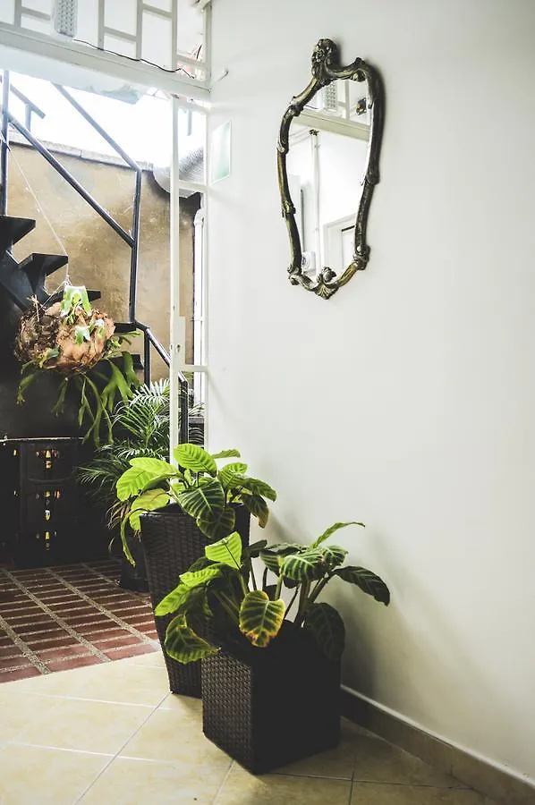 The Sugar Cane Hostel Medellin