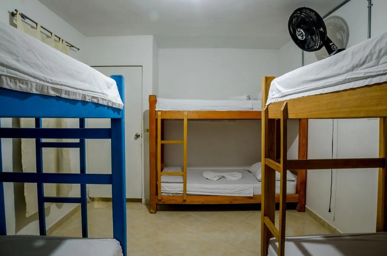 The Sugar Cane Hostel Medellin Colombia